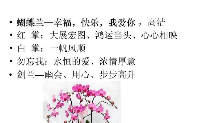 桃花花语与代表意义（探寻桃花背后的意义）