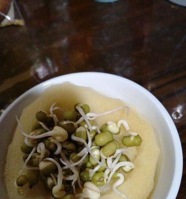绿豆发芽了能吃吗（营养更丰富的绿豆芽）