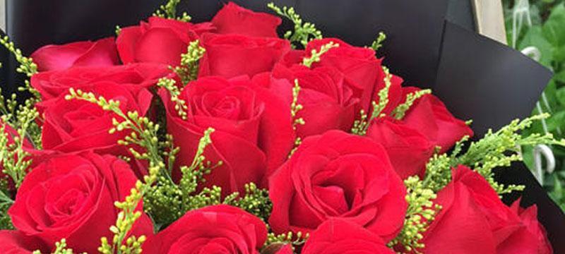 紫玫瑰花语之浪漫神秘（紫玫瑰的花语意义及传说传承）