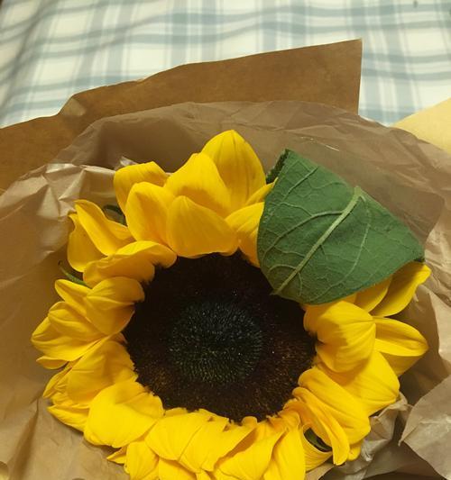 金榜题名花开绚烂（金榜题名的花朵寓意及花语解读）