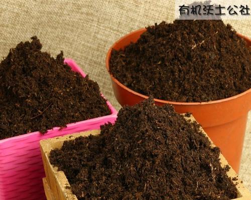 买来的营养土可以直接种花吗？使用前需要做哪些准备？