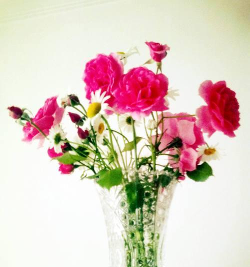 朋友之间送什么花好？各种花的寓意是什么？