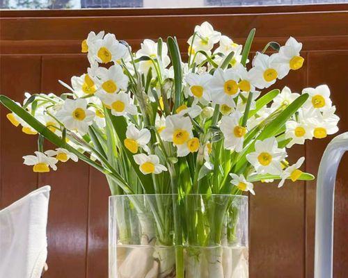 水仙花象征什么意思？如何理解水仙花的花语含义？