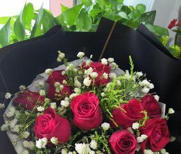 小人祭的花语有哪些含义？