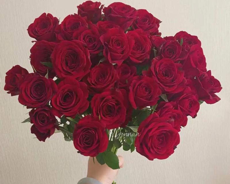 五红色玫瑰花代表什么？红色玫瑰花束的含义是什么？