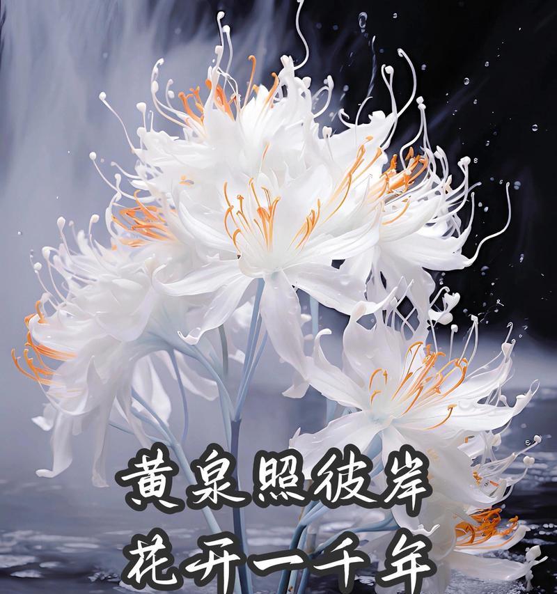 哪种花的花语是可爱？可爱花语的花有哪些？