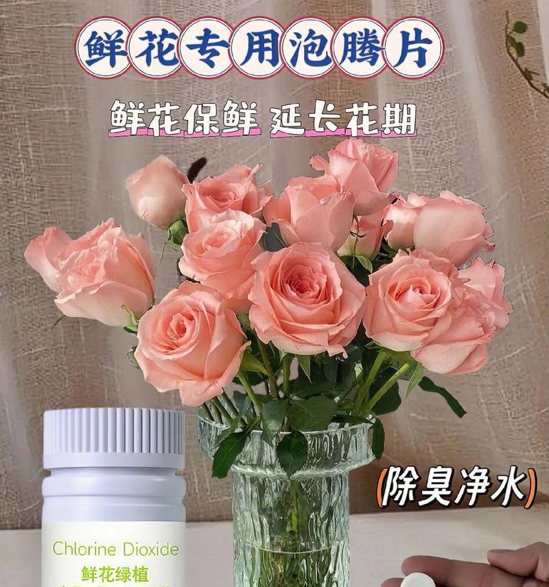 蒂贝类型花卉是什么意思？花卉醒花步骤有哪些？