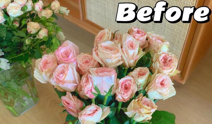 蒂贝类型花卉是什么意思？花卉醒花步骤有哪些？