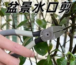 盆栽水口钳的用途是什么？这种工具在园艺中如何使用？
