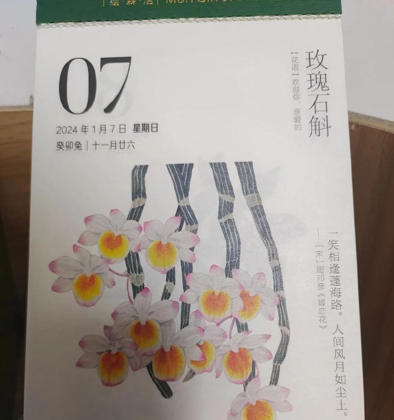 梅花语代表什么含义？梅花的花语有哪些？