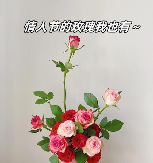 没有情人送玫瑰花意味着什么？它在情感上代表了什么？