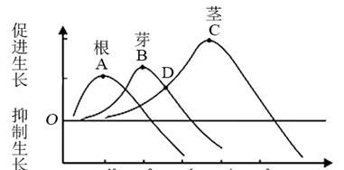农药茎叶处理的正确方法是什么？