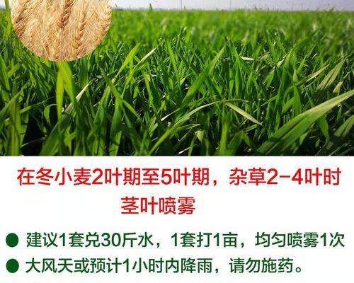 农药茎叶处理的正确方法是什么？