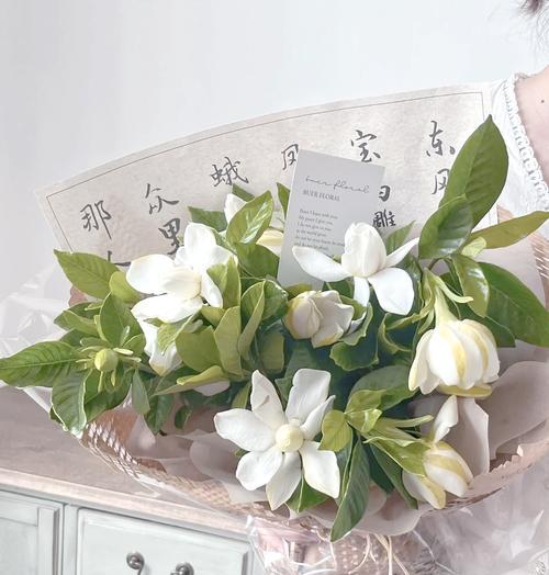 栀子花代表什么意义？