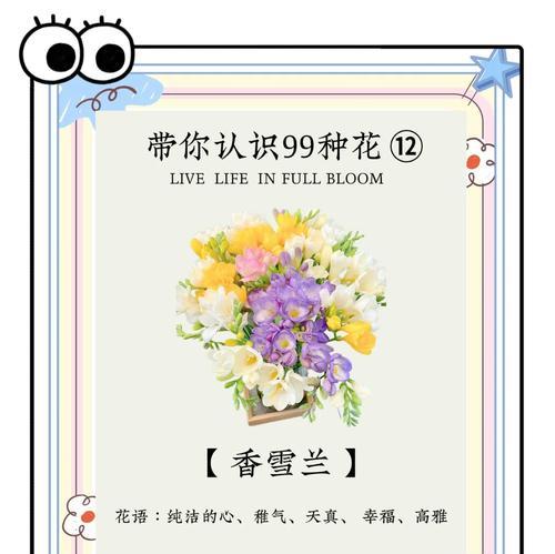 哪种花的花语代表错过？它的含义是什么？