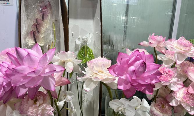 哪些花卉名字寓意简单美好？它们各自代表什么？