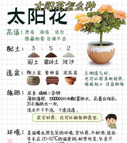 生日花的花语是什么花？如何根据生日选择合适的花卉？