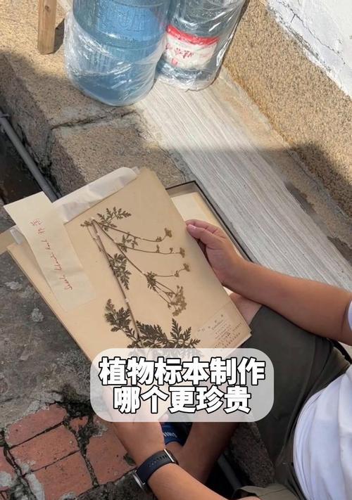 如何制作动植物标本？制作标本的步骤和注意事项有哪些？