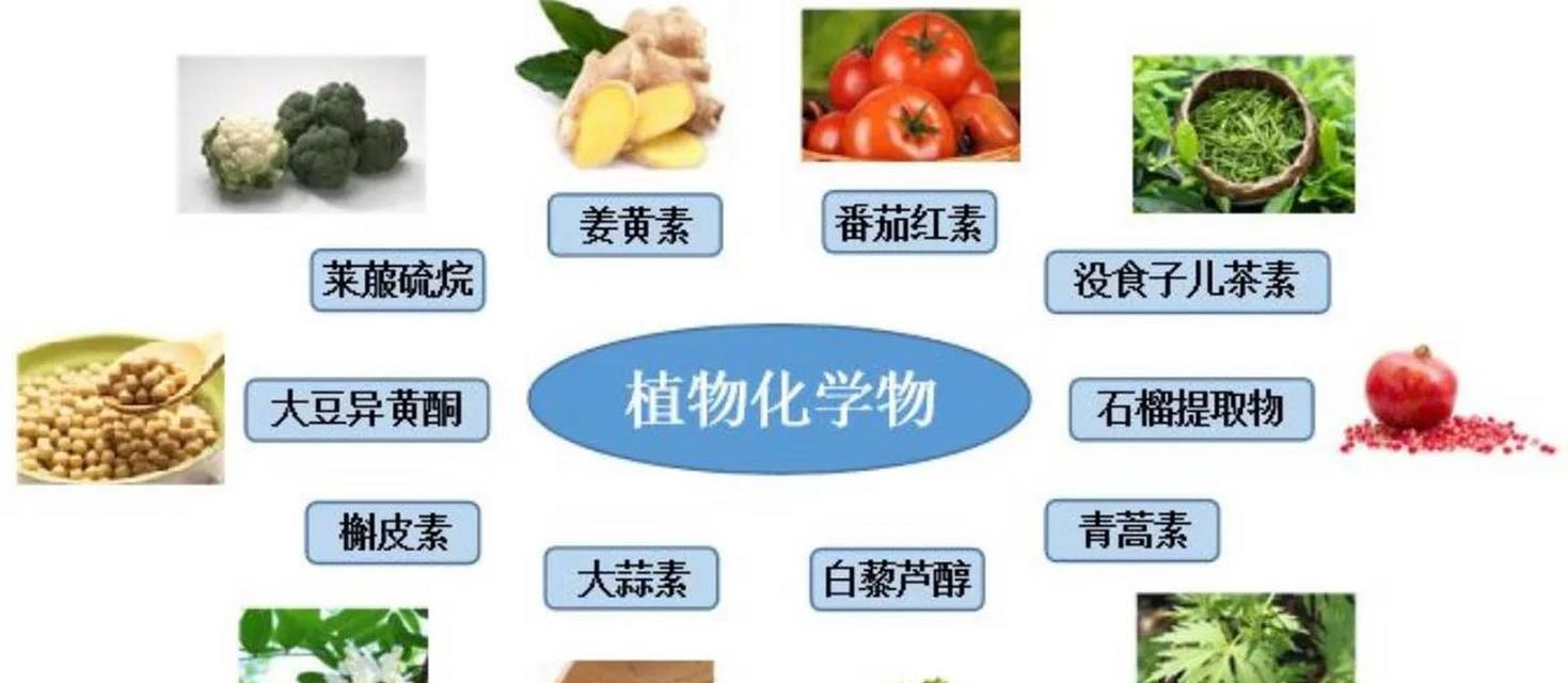 哪些植物被誉为抗癌超级植物？它们的抗癌成分是什么？