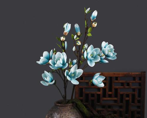 哪些花卉适合放置在餐厅？它们对环境有何益处？