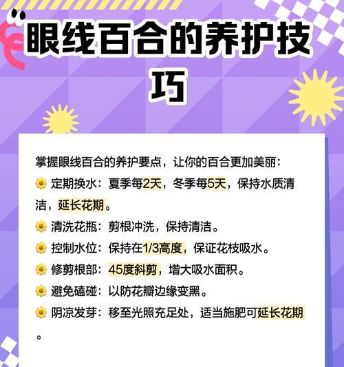 眼线植物医生的服务质量如何？有哪些用户评价？