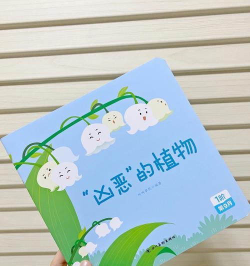 蓝色猫眼花卉有何特点？它属于什么植物？