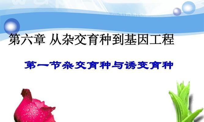 杂交植物定义是什么？它们的育种优势有哪些？