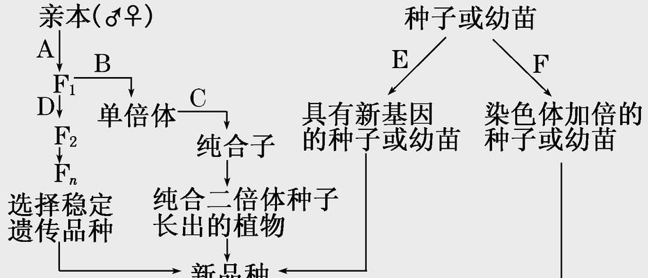 杂交植物定义是什么？它们的育种优势有哪些？