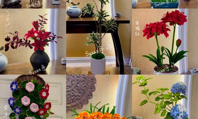学盆栽花卉技术有哪些方法？如何快速掌握盆栽花卉技术？