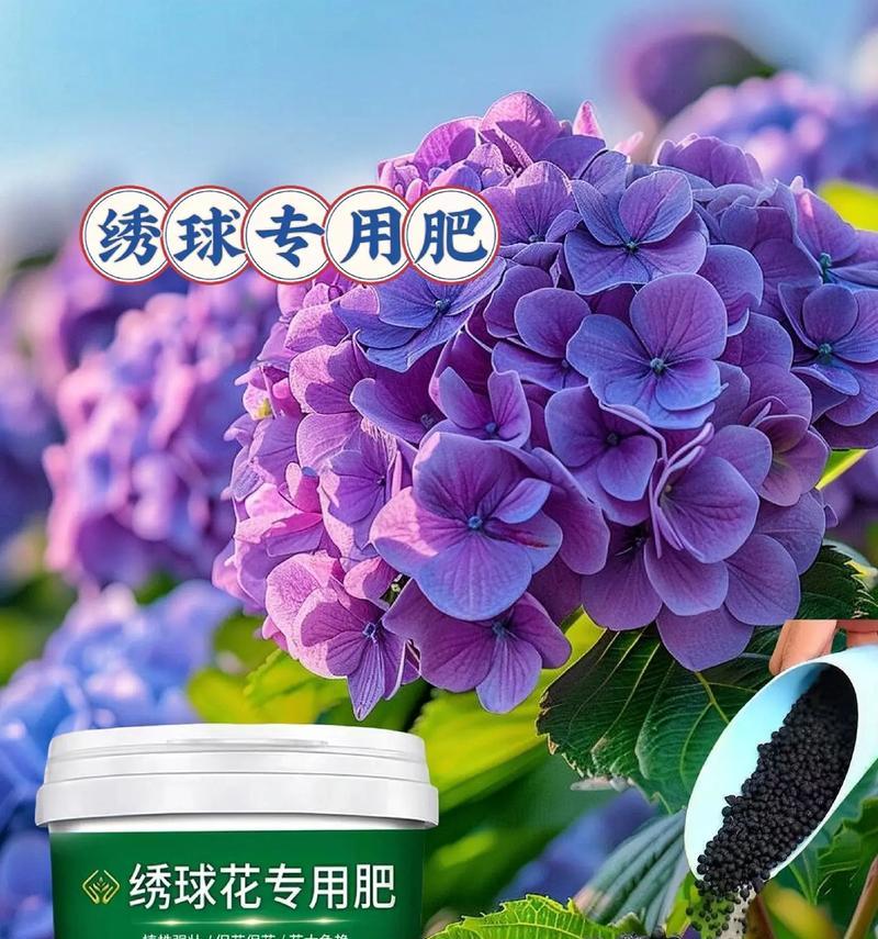 花卉生长需要哪种肥料？