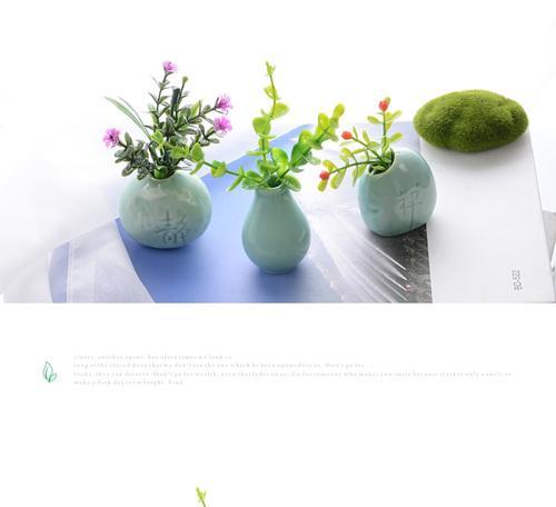 磁铁植物如何获得？它们的获取途径有哪些？
