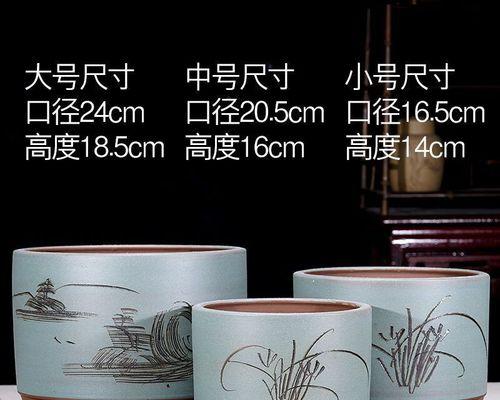 三桶泥可以种什么花卉好？如何选择合适的花卉？