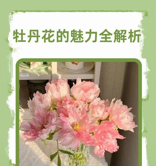 道具牡丹花花卉有哪些特点？如何辨识和养护？