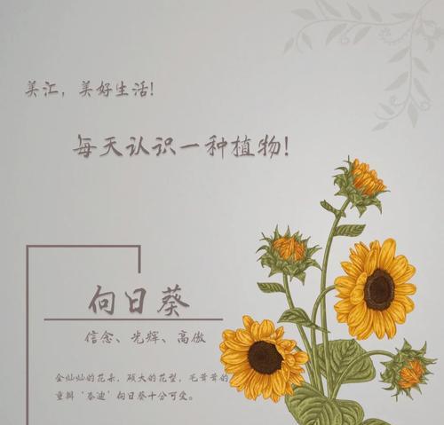 短袖花卉植物的正确养护方法是什么？