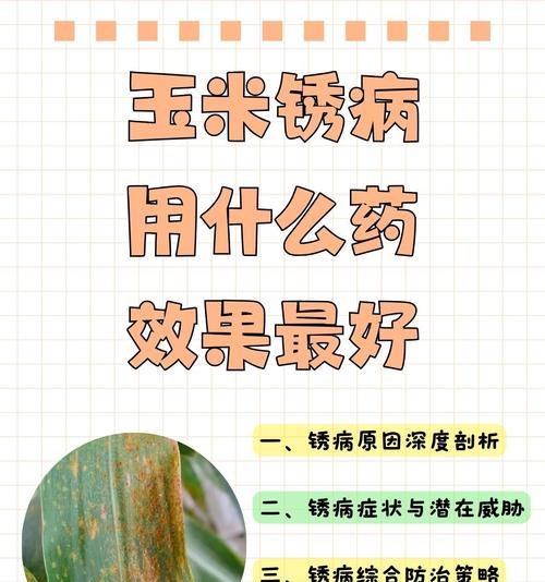哪种药水对植物根茎无害？如何正确使用药水？