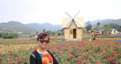 安宁花卉项目包括哪些品种？它们各自有什么特点？