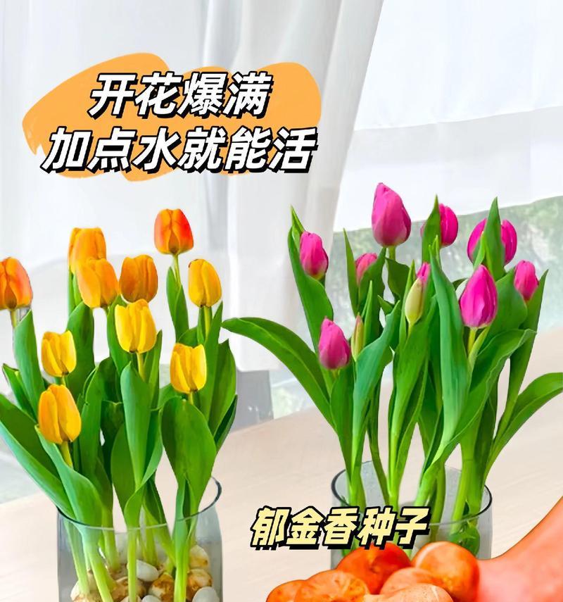 开春适合种植什么盆栽植物？哪些植物春天生长更快？