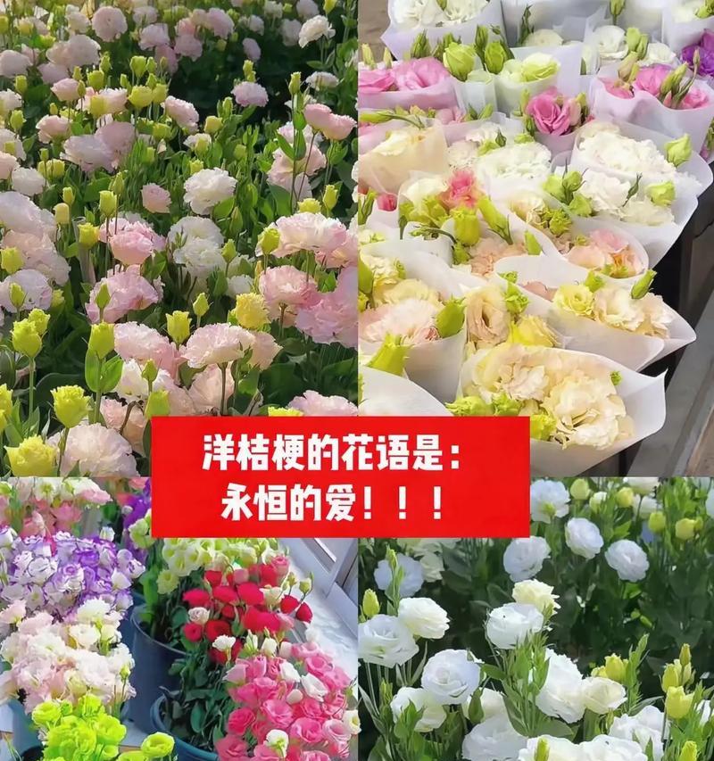 恋爱中适合送的花有哪些特别的花语？