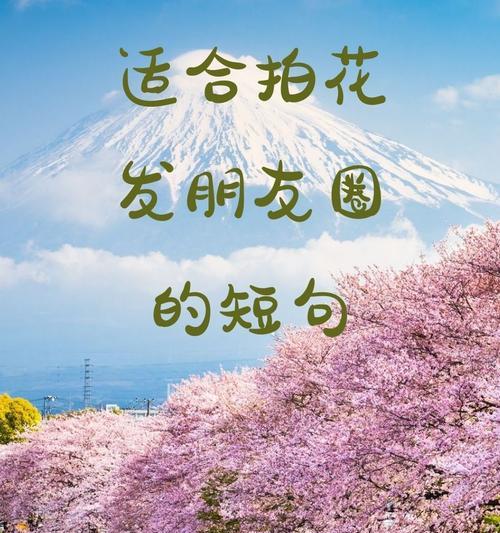 恋爱中适合送的花有哪些特别的花语？