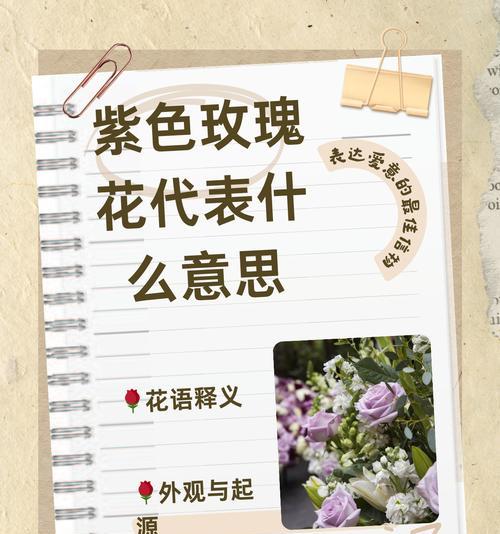玫瑰花代表的寓意有哪些？