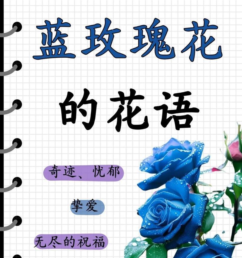 和你共度一生的玫瑰花语是什么？玫瑰花语中有哪些浪漫的表达？