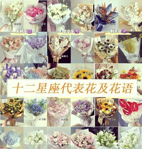 2月19日出生的人花语代表什么？