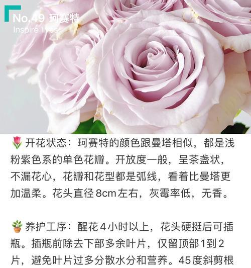 小束玫瑰鲜花的养护方法是什么？如何延长花期？