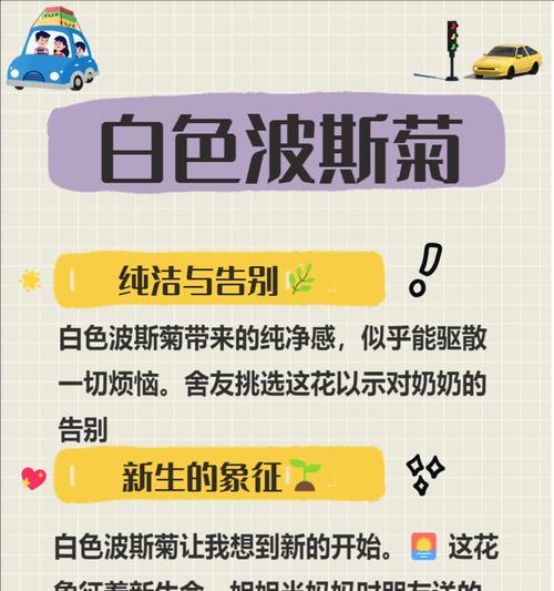 浅色系花卉的花语有哪些？
