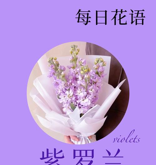 浅色系花卉的花语有哪些？