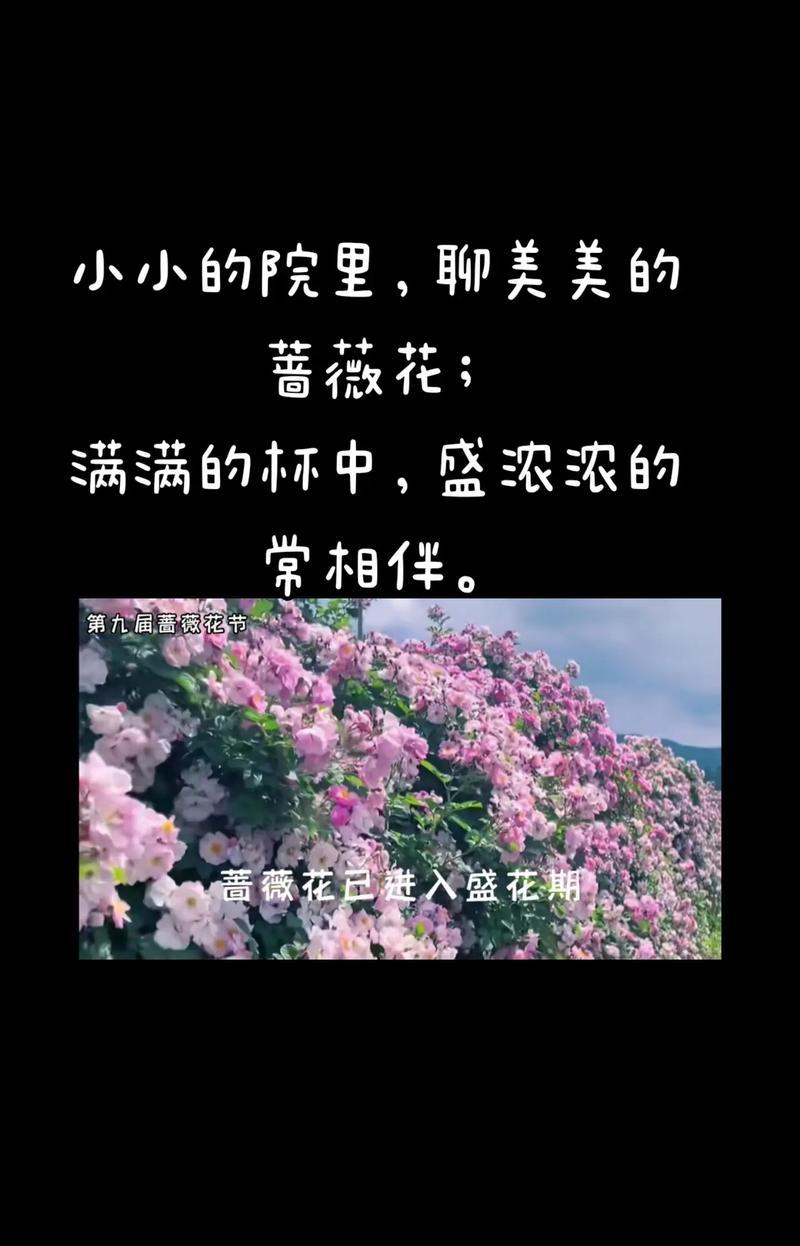 什么花语代表了真正的爱情？