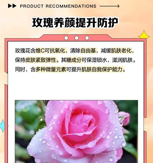 泡水用的玫瑰花是哪种？泡水玫瑰有什么特别之处？
