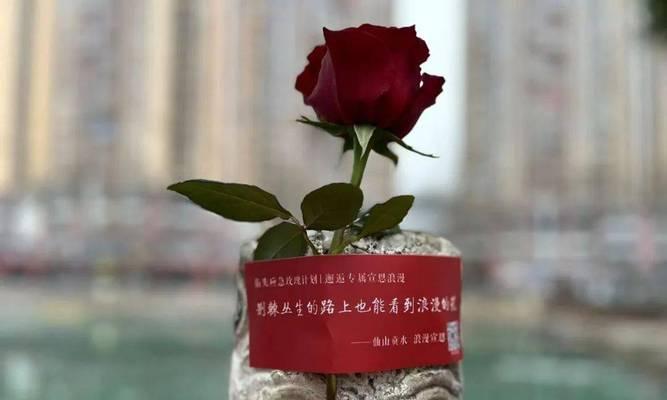 14朵玫瑰传递了怎样的爱意？
