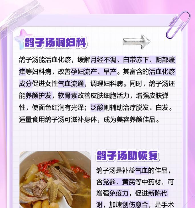 鸽子的花语及其寓意是什么？