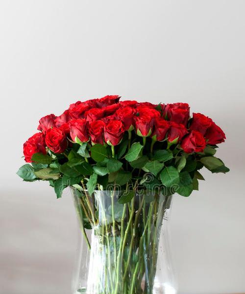 梅玫瑰花插花瓶的方法是什么？怎样保持花的新鲜？